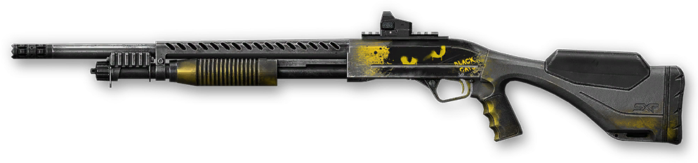 Black Cats Winchester SXP
